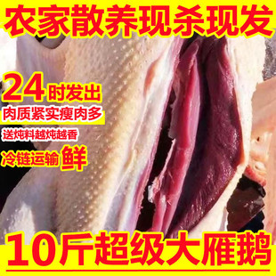 10��Ǵ��Z�����r�F���Z��ֻ���r��ɢ�B�L���w����һ�����]