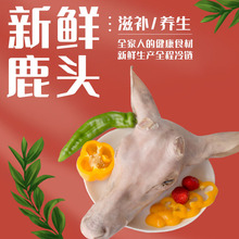 ���¹�����l÷��¹ȥë¹�^ ��ë¹�^ ¹���� ¹�X �ڗlһ�����l