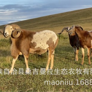 �W���� �S���� �ؾd�� ����� ���C�����W����r�� �����Xһֻ