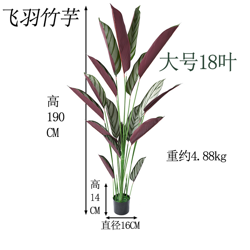 飞羽18叶高190cm.jpg