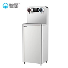 碧丽不锈钢冰热饮水机商用节能制冷煮开直饮机B-2E一开一冰