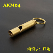 AKM04 �����~���� �S�~���l������ Ӗ����Ӗ��