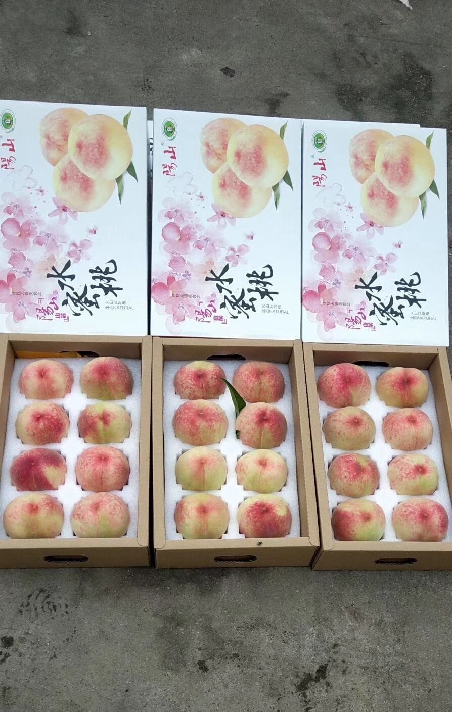 厂家供应白色珍珠棉电商快递包装泡沫海绵/水蜜桃李子包装海绵