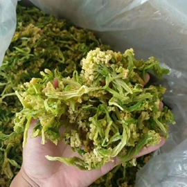 竹笋类;库存农产品;其他蔬菜