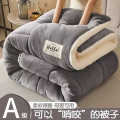 A类保暖雪花绒冬被加厚羊羔绒被芯冬季法莱绒被子牛奶绒被褥批发