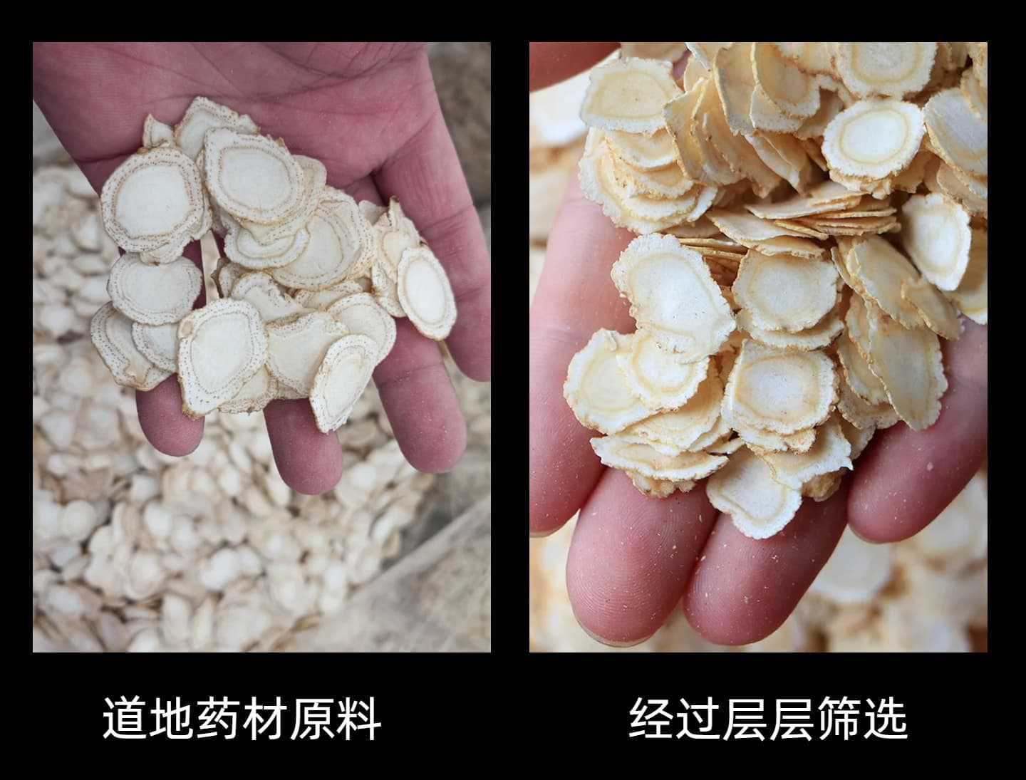 American Ginseng Gift Box Xi Yang Shen 250g Sliced Panax quinquefolius Root for Daily Herbal Tea and Tonics key features