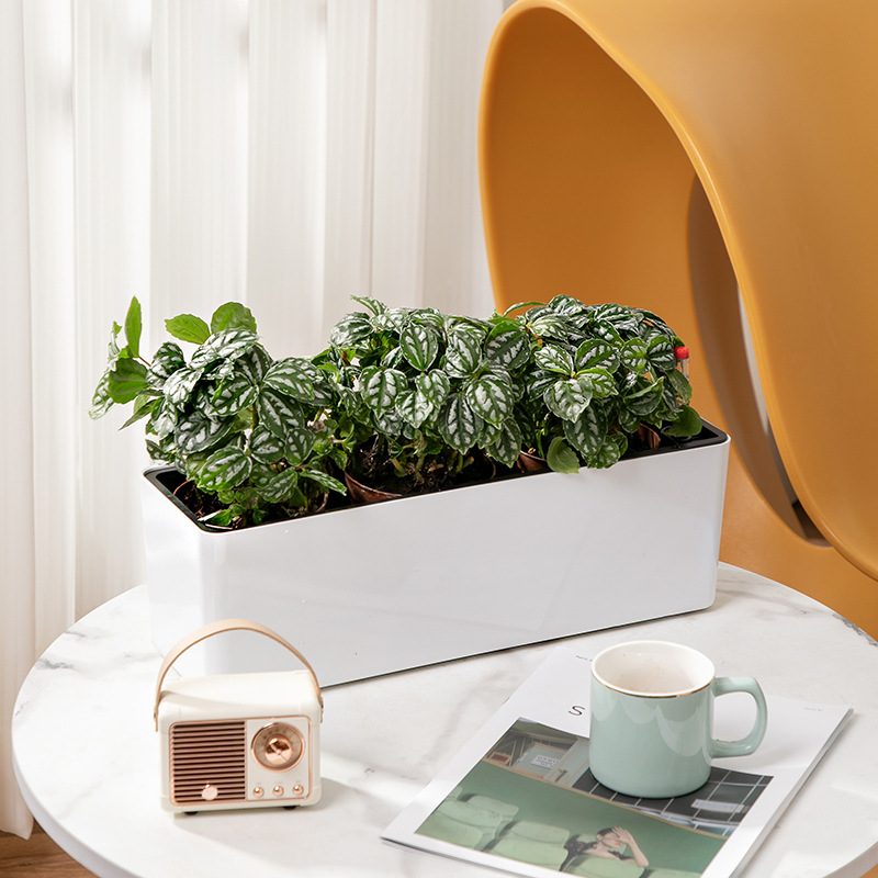 Maceta Autoabsorbente Rectangular de Gran Diámetro, para Balcón y Ventana, de Resina