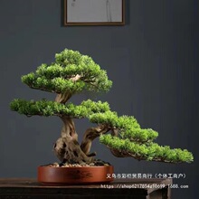 �҃ȿ͏d�ɘ�ӭ�����辰�����ɘ��쾰С�ɘ����Ի����������ɘ�