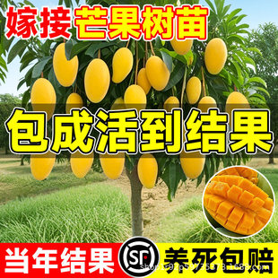 â���������Լ޽ӹ����F��â���â����ͥԺ�����ļ����B����Y��