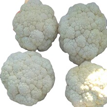 �S���L���ṩ�ك��˻�Frozen Broccoli&nbsp; �gӭ�xُ
