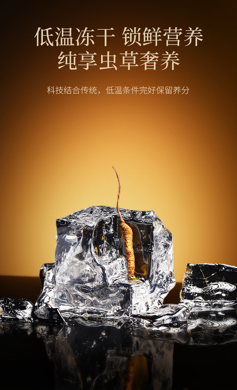 Premium Cordyceps Sinensis Gift Box 50 Stems 16.7g Dong Chong Xia Cao for Traditional Herbal Soups specifications