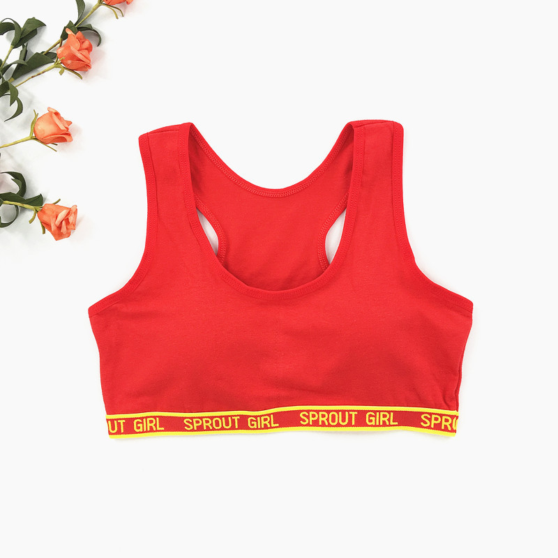 字母工背内衣800