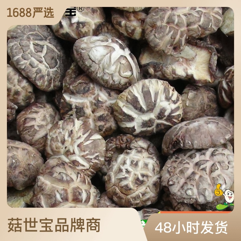 西峡花菇2.0-5.0菇世宝a级花菇 南北干货食用菌 产地货源片香菇