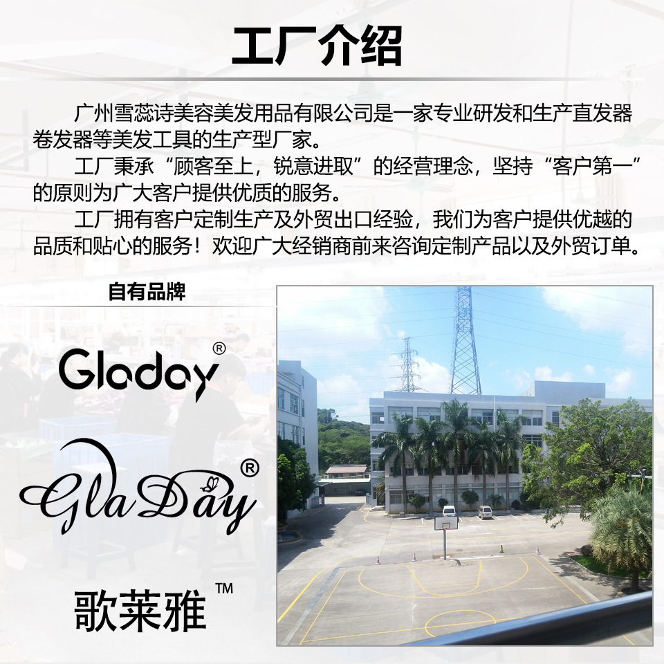 公司介绍2
