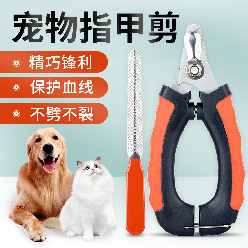 Perro tijeras de uñas de cabello dorado tijeras de uñas de cabello dorado conjunto especial para uñas de perros