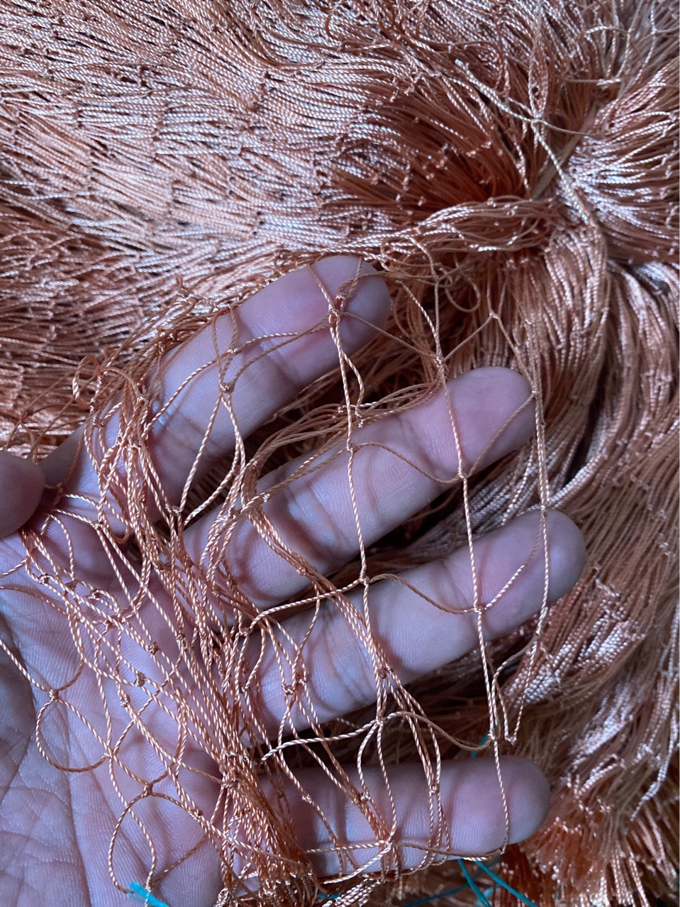 养殖用网 防鸡网 轮胎网 拍子