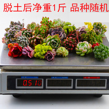 ϡ�о��Ͷ���һ��Փ�����u1��������w�����҃�ֲ��M�ϷQ�ײ�