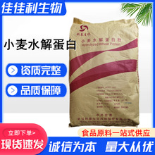 供应小麦水解蛋白粉大米水解蛋白粉 食品级植物蛋白现货批发