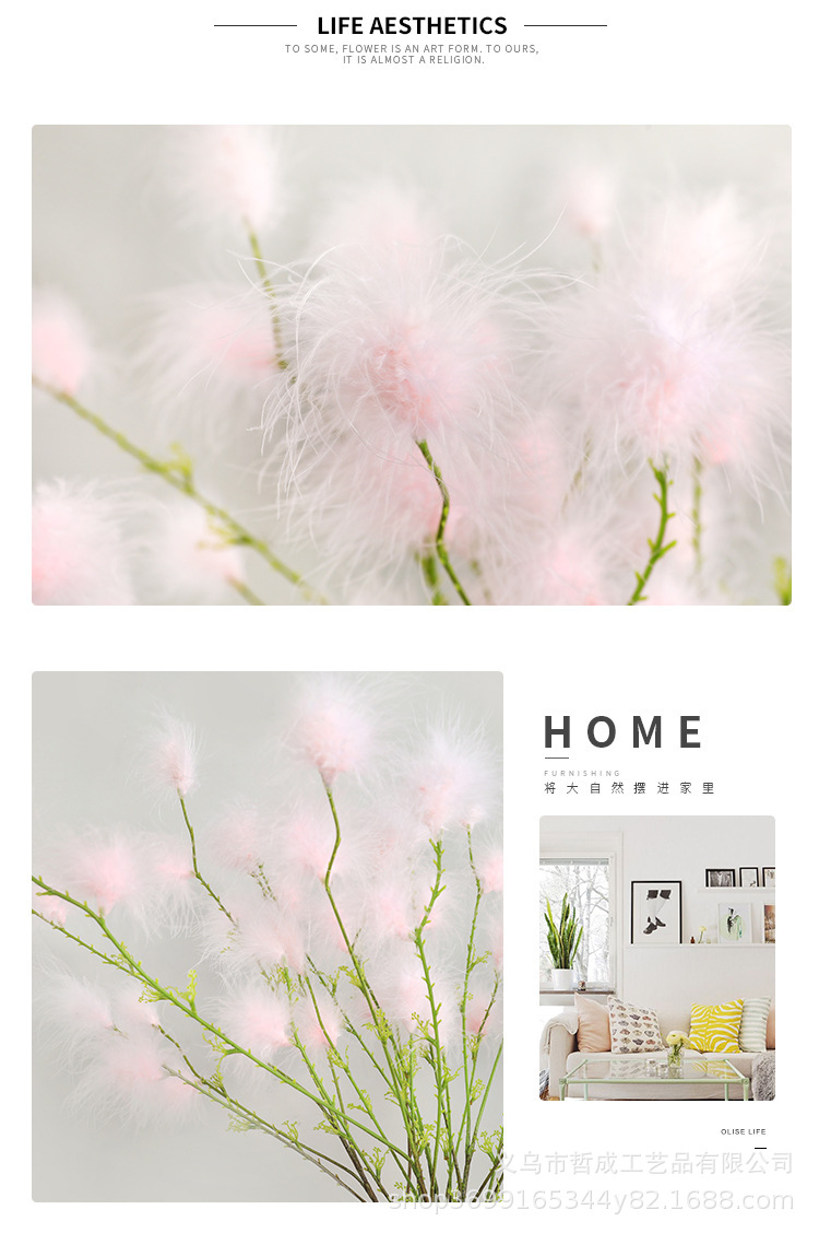 O1CN01vwPpga1Fz9GiRaVeX_!!9481