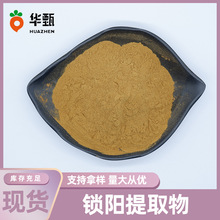 锁阳提取物食品级萃取原料水溶性华甄生物现货包邮锁阳提取物