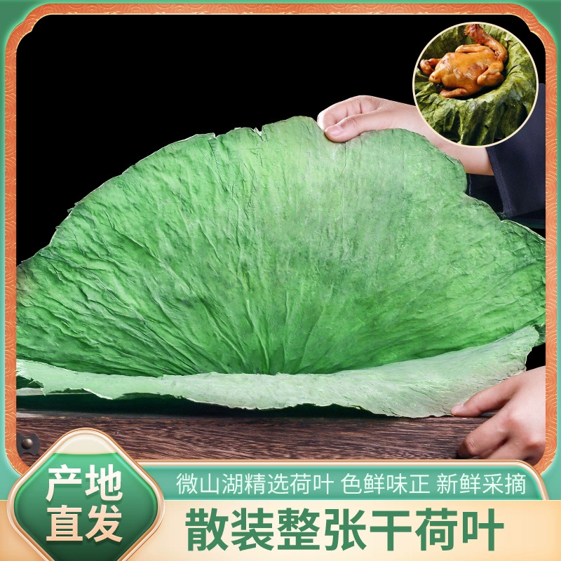 Целые листья лотоса оптом свежие сушеные листья лотоса оптом 250 г подлинных товаров клейкий рис курица специальные большие сушеные листья лотоса оптом