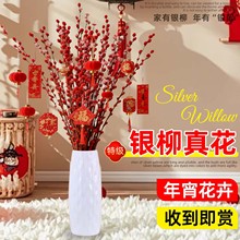 银柳鲜枝干花室内客厅喜庆耐寒年宵花摆件招财水培好养活绿植花卉