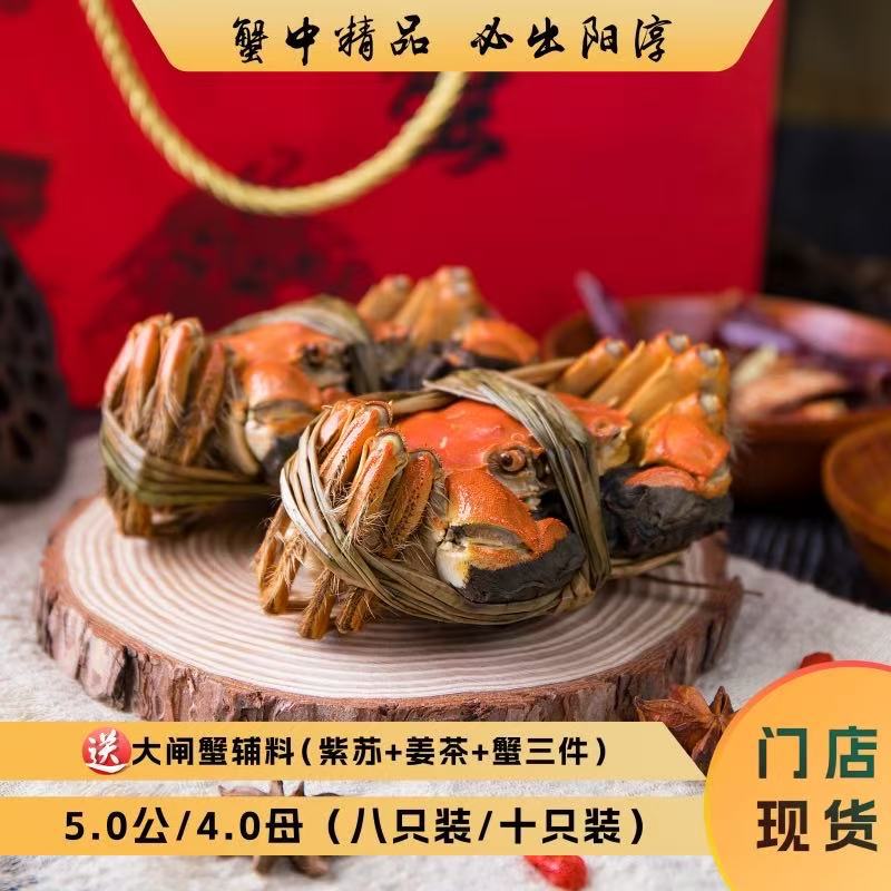 阳淳牌大闸蟹5.0公/4.0母礼盒装四对八只/五对十只装全国发货