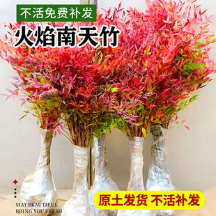 һ�����l���������Ԙ�������������҃��Ϙ��辰ͥԺ�^�~���ܾGֲ