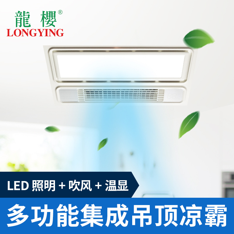 龙樱集成吊顶300*600照明吹风二合一冷风机空调型 厨房嵌入式凉霸|ms