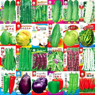 Դ�^�S�����l�߲˷N�Ӵ����＾�ļ��Ϲ�ˮ���N���Ӳ��Ѳ˷N��ȫ��