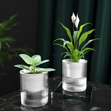 ���˾G�}ֲ���Ԅ���ˮ����͸��ˮ���������ϲ���ˮ�B��ƿ�G�j