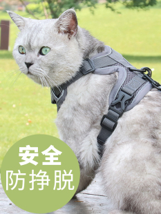 Trendy Cat Harness Leash Vest for Outdoor Use, Anti-Escape Automatic Retractable Cat Leash