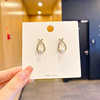 Silver needle, fashionable earrings, silver 925 sample, internet celebrity, wholesale