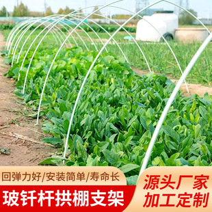 ���Ʋ�����w�S�ˈ@�ع���֧���߲ˈ@����֧�ܗU�ӌ��Ĳ����w�S�U