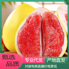 【一件铺货】现摘红心柚蜜柚新鲜水果柚子对接电商直播产地直发