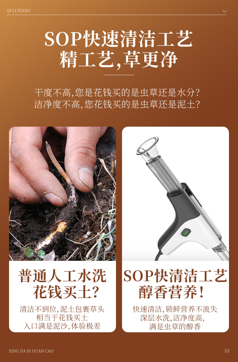 Dried Cordyceps Sinensis Broken Stems 1g Box Wild Harvested Tibetan Plateau Cordyceps for Traditional Soup and Decoction preparation