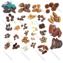 ɹDIYֹ׃@Mb[յ߻ϰɸɻɹ