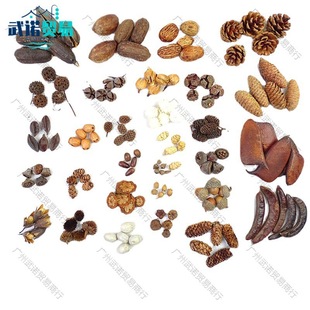 �ɹ�DIY�ֹ��׃��@�M�����b�[�����յ��߻����ϰ�����ɸɻ��ɹ�