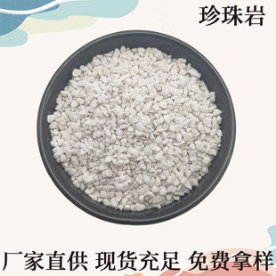 �����Ҵ��w�����B����ɰ�{�@ˇ������|���������Û������