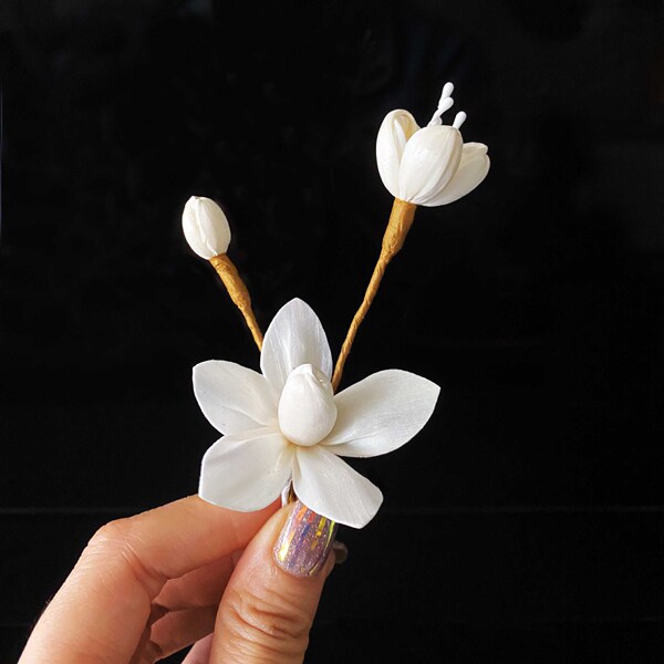 [Sample shooting] Aromatherapy dry flower
