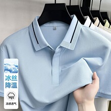 ��˿Polo�����ļ�Ī�������䷭������������͸�����̴�ɫT��