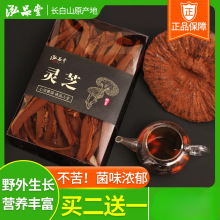 �`֥Ƭ�L��ɽ��֥Ұ�����`֥Ƭ�ݾ���ˮ�`֥���`֥��Ƭ