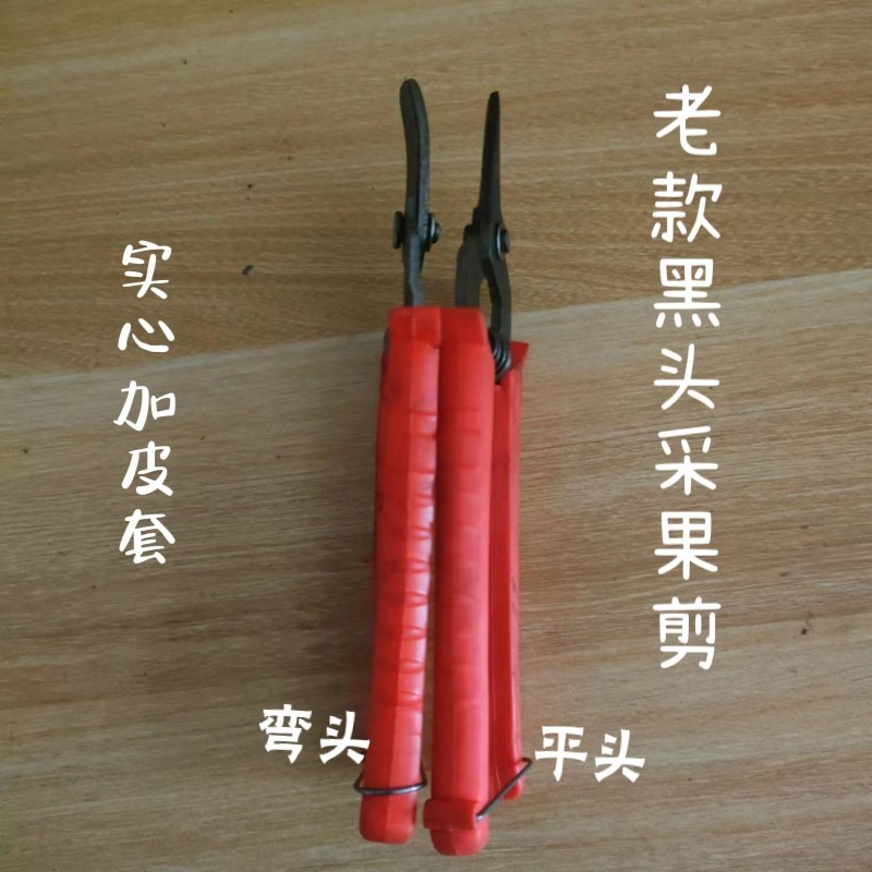 老款弯头采果剪家用修枝剪刀花卉嫁接园艺剪花枝剪翘嘴摘果剪翘头