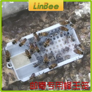 LinBee�B�乤�����������\�๦�܃������з����\�Ӻ�Ӵ��]��