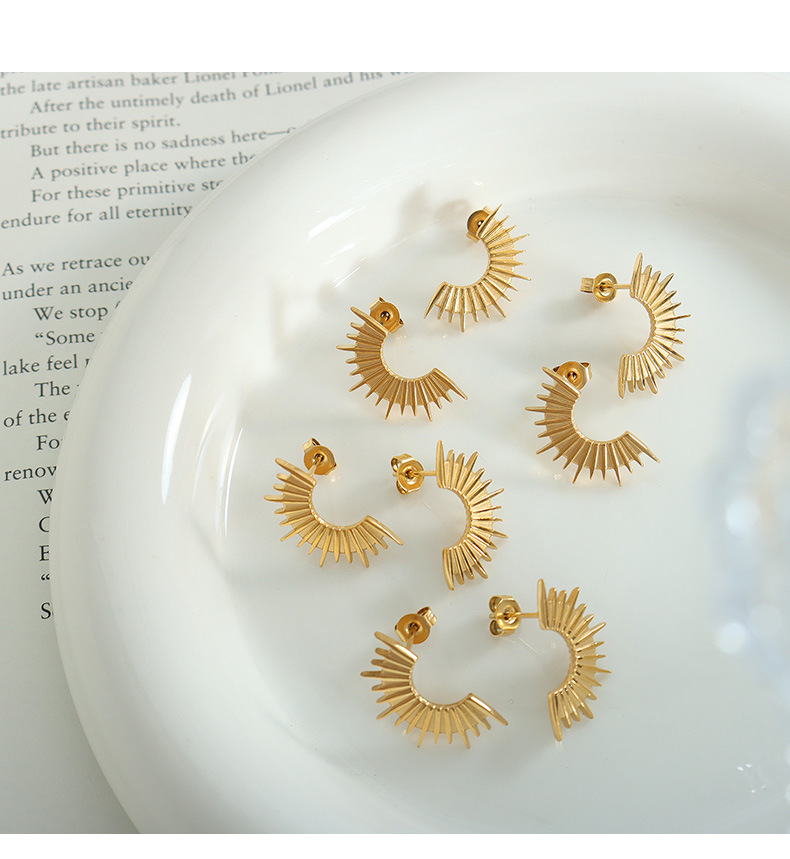 Simple Style Geometric Titanium Steel Plating Earrings 1 Pair