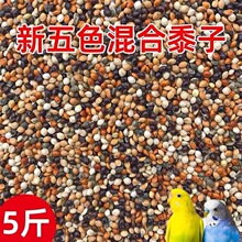 ��ɫ�B�Z��Ƥ���P����������Z�W�^��С�����Ӱ��]ĵ���Z�Bʳ���