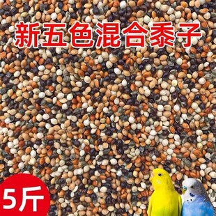 ��ɫ�B�Z��Ƥ���P����������Z�W�^��С�����Ӱ��]ĵ���Z�Bʳ���