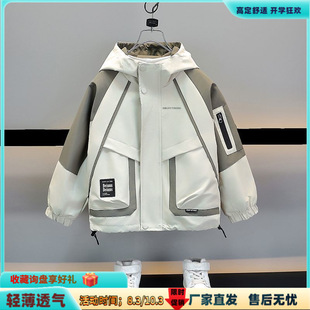 ��ͯ����2025�¿�b��ͯɭϵ��ˮ�L����ⴺ���