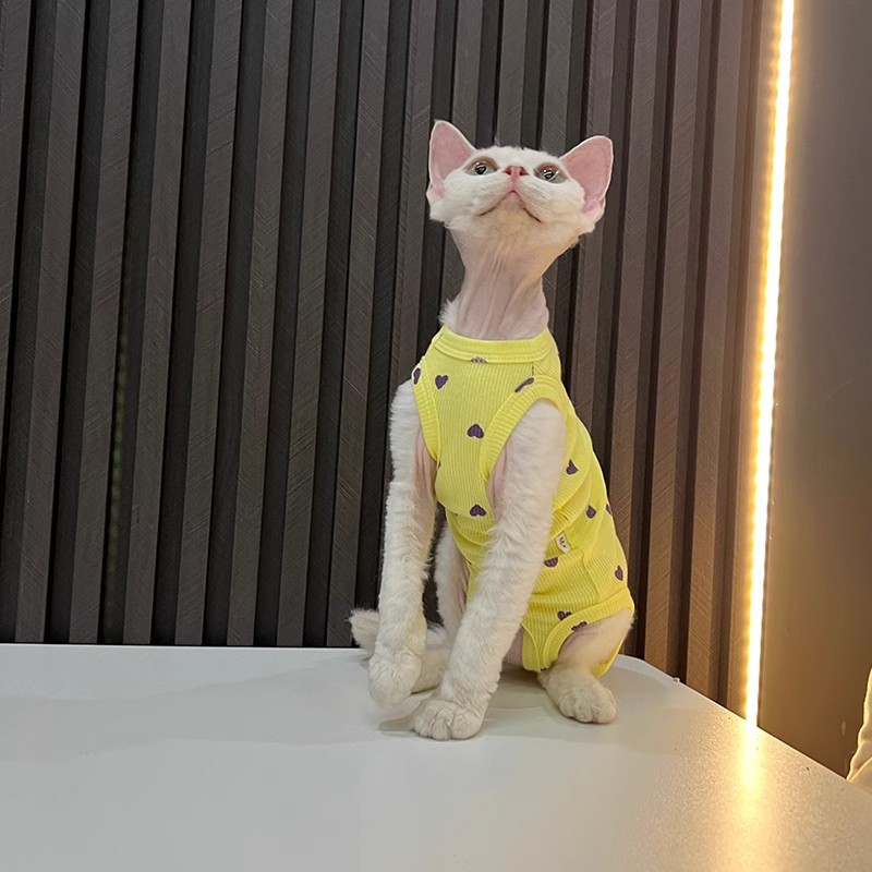 Zomerkleding voor sphynx katten elastisch vest voor naakte katten_voghion.com