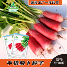厂家批发手指萝卜种子迷你水果小罗卜大拇指四季盆栽甜脆萝卜籽种